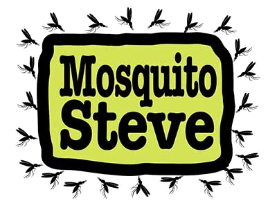 Mosquito Steve